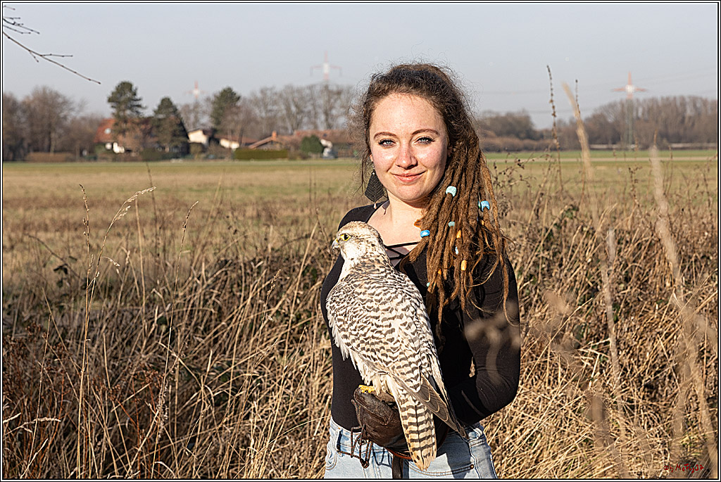 Cheyenne-Halbblut Hunting Wolf in der Falknerei Pierre Schmidt; Gymnich, 09.02.2023